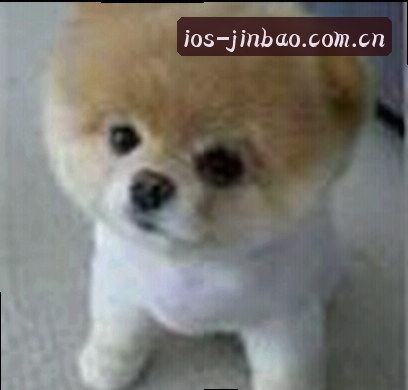 王刚